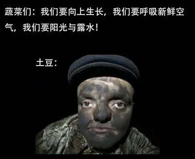 图片上半部分是蔬菜们的集体宣言：“我们要向上生长，我们要呼吸新鲜空气，我们要阳光与露水！”，表达了积极向上生长的愿望。下半部分则是一个戴着黑色帽子、脸部肤色暗沉且纹理粗糙（类似土豆表皮）的真人形象，旁边标注“土豆：”，通过拟人化对比，幽默地暗示土豆作为地下生长的蔬菜，与其他追求阳光的蔬菜有着不同的“生活态度”，形成鲜明反差萌。