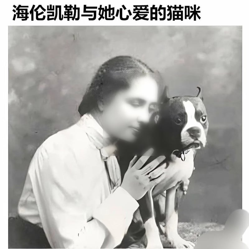 现实公众人物