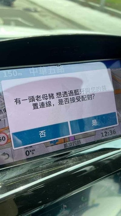这是一张汽车导航设备的屏幕截图，屏幕中央弹出一个恶搞的蓝牙配对请求窗口，窗口内文字为“有一头老母猪 想透过蓝牙与您的装置连线，是否接受配对？”，下方配有“否”和“是”两个选择按钮。背景的导航界面显示当前位置距离中华五路还有150米，所在道路为凯旋四路，车辆当前速度为0km/h，时间为12:36，同时有限速60的交通标识。该内容是通过修改蓝牙设备名称实现的整蛊恶搞，用无厘头的配对请求制造搞笑效果，没有双关、谐音梗等内容，单纯以荒诞的设定博人一笑。