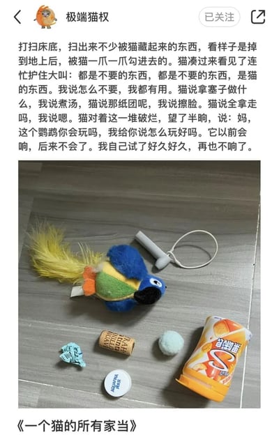 这是一张小红书帖子截图，是小猫文学创始人@极端猫权发布的原创小猫文学作品《一个猫的所有家当》。帖子上方是拟人化文字，讲述主人打扫床底扫出猫藏的一堆零碎物件，猫连忙护住称这些都是自己的东西，在主人表示要全部拿走后，猫对着坏掉的鹦鹉玩具，询问主人会不会玩，说这个玩具以前会响，自己试了很久都没法让它再响了。文字下方配图展示了扫出来的所有物件：一只毛绒鹦鹉玩具、皱纸团、软木塞、矿泉水瓶盖、浅蓝毛球、耳机塞、果味糖包装盒，帖子底部标注了作品标题《一个猫的所有家当》。
