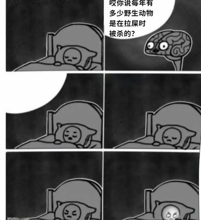 这是一张六格黑白连环漫画，描绘了一个人在床上睡觉时被一个大脑形状的角色提问的场景。第一格显示一个人困倦地躺在床上；第二格中大脑形状的角色问：'哎你说每年有多少野生动物是在拉屎时被杀的?'；第三格显示睡觉的人被惊醒；第四格他表情困惑；第五格他显得烦躁；第六格他非常愤怒。整个漫画通过夸张的表情变化和荒诞的问题制造喜剧效果。
