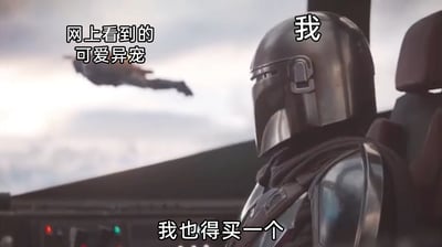 这是一张基于影视截图二次创作的搞笑梗图，画面主体是《曼达洛人》的主角曼达洛人，他坐在飞行器的驾驶座上，看向画面左侧飞行的奇异生物。图中添加了三段文字：左上的“网上看到的可爱异宠”用来指代这个飞行生物，右上的“我”指代曼达洛人，底部的“我也得买一个”则是角色的内心想法。这张图用幽默的方式，精准地还原了很多人在网上看到他人分享的可爱宠物后，产生跟风购买的冲动心理，将现实中被“种草”后的消费心态用影视场景表现出来，十分贴切有趣。