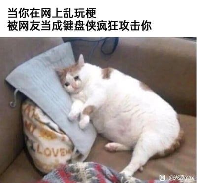 这是一张用于调侃网络社交尴尬经历的表情包，上方配有文字“当你在网上乱玩梗被网友当成键盘侠疯狂攻击你”，图中是一只白棕相间的胖猫咪，它蜷缩在沙发的角落，将头靠在靠垫上，眼睛挂着泪痕，表情委屈巴巴，肢体姿态显得十分无助，生动地还原了在网络上被误解、被攻击后低落委屈的心情，用可爱猫咪的可怜模样来放大这种情绪，既搞笑又能引起共鸣。