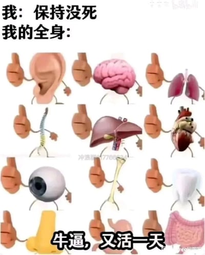 这是一张充满自嘲风格的网络梗图，上方标注文字“我：保持没死”，下方以类似九宫格的形式展示了耳朵、大脑、肺、脊柱、肝脏、心脏、眼睛、骨头、牙齿、鼻子、胃、肠道等12种拟人化的人体器官，每个器官都被配上了竖起大拇指的手臂和小短腿，底部配文“牛逼，又活一天”。整张图用幽默夸张的拟人化表现，精准调侃了当代年轻人在高压生活中勉强维持生存的状态，以器官集体“点赞”的形式，生动传递出“活着就已经是一种成就”的自嘲心态，引发网友对疲惫日常的共鸣。