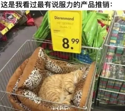 图片上方配有文字“这是我看过最有说服力的产品推销：”，下方为商店货架场景。一个金属篮筐中放置着豹纹图案的宠物床，一只橘色虎斑猫正蜷缩在床中熟睡，姿态放松舒适。宠物床上方有一个黄色价格标签，显示“Dierenmand”（荷兰语，意为“宠物篮”）及价格“8.99”。猫咪的自然熟睡状态成为了该宠物床舒适度的最佳证明，形成了极具说服力的“活体广告”效果。