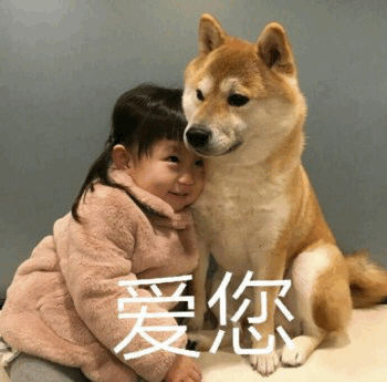 小女孩与柴犬温馨依偎配文'爱您'