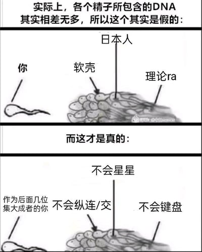这是一张上下结构的对比玩梗图，开篇先说明生物学上不同精子的DNA差异并不大，传统的「你是跑赢数亿精子的最强者」相关网络梗不符合事实。首先展示了这类传统梗的标注版本：把单独的精子标注为「你」，剩下的精子群分别标注为「软壳」「日本人」「理论ra」；下半部分给出改编后的玩梗版本，称真实情况是「你」是后面几类精子缺点的集大成者，剩下的精子群分别标注为「不会纵连/交」「不会星星」「不会键盘」，内容结合音游领域的专业术语，调侃音游玩家操作水平不足，存在多种操作短板。