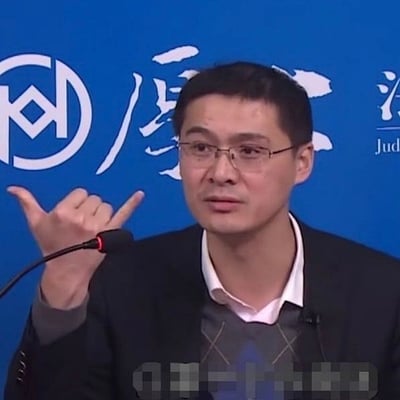 这张图片显示一名身穿衬衫和西装外套的男性，在一个蓝色背景（背景有“司法”、“度”、“Jud...”等字样，疑似官方发布会背景板）前方发表讲话。他的手做出拇指和小指张开的“你看着办”或“打电话”手势，表情和语气带有一定无奈与调侃色彩。

该场景常被网友用作“你自己看着办”或“随你了”的网络表达，具有玩梗和嘲讽意味。