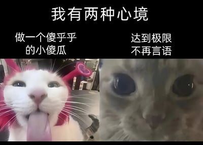 这是一张左右对比的猫咪表情包，上方配有文字'我有两种心境'。左侧是一只戴着粉色发饰的白猫，正吐着舌头，表情傻乎乎的，旁边文字写着'做一个傻乎乎的小傻瓜'。右侧是一只灰猫的特写，眼神专注而严肃，嘴巴微张露出牙齿，旁边文字写着'达到极限不再言语'。通过两只猫咪截然不同的表情和配文，形成了鲜明的情绪对比，展现了两种极端的心境状态。