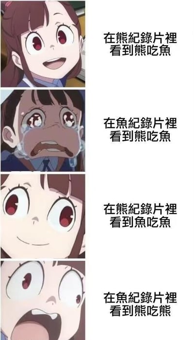 这是一组由4张《小魔女学园》主角亚可的表情截图组成的连环梗图，每张图搭配对应的文字，模拟代入不同视角观看纪录片时的情绪反应：
1. 代入熊的视角看熊吃鱼，亚可露出兴奋开心的表情；
2. 代入鱼的视角看熊吃鱼，亚可露出悲伤崩溃、大哭的表情；
3. 代入熊的视角看鱼吃鱼，亚可露出淡定无所谓的微笑表情；
4. 代入鱼的视角看熊吃熊，亚可露出震惊错愕的表情。
通过切换观察者的立场视角，搭配不同的弱肉强食场景，利用角色的夸张表情放大不同立场下的情绪反差，制造出荒诞又搞笑的效果，调侃了立场差异会导致对事件的看法和情绪产生巨大不同。
