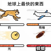 小强缩略图