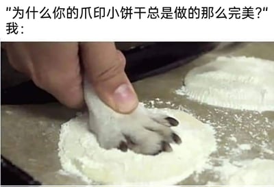 这是一张趣味图文梗图，上方配有提问文字“为什么你的爪印小饼干总是做的那么完美？”，下方的画面则揭晓了“答案”：一只手按住猫咪的爪子，将猫爪按压在撒有面粉的圆形面团上，利用真实的猫爪来制作饼干的爪印造型。图中用这种无厘头、反差感的方式，解释了爪印饼干形状逼真完美的原因，将萌宠元素和美食制作结合，既可爱又充满幽默效果，让人忍俊不禁。