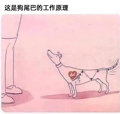 这是一幅卡通风格的创意插画，画面上方配有文字“这是狗尾巴的工作原理”。画面中一只戴着项圈的狗狗仰头看向画面左侧的人类（仅展示下半身），狗狗的身体内部被画出了类似连杆的机械传动结构，狗狗的心脏作为动力源，通过这些结构带动尾巴摆动，用拟机械的创意方式，将狗狗见到喜爱的人时内心的喜悦具象成驱动尾巴摇晃的动力装置，温暖又充满创意，诠释了狗狗摇尾巴是源于内心的欢喜。