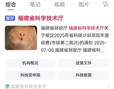 这是一张政府官方网页截图，顶部显示“综合”“笔记”“视频”“图片”等标签页，当前选中“综合”。页面主体为福建省科学技术厅的官方通知，左侧配有一张毛茸茸小动物（可能为仓鼠或类似啮齿类）的图片，右侧标题为“福建省财政厅 福建省科学技术厅关于核定2025年省科技计划项目年度经费(市级第二批次)的通知”，标注日期“2025-07-08”及发文单位。底部设有“机构概况”“政策文件”“科技奖申报”“科技数据”四个功能按钮，页脚显示“福建省科学技术厅”及官方标识。