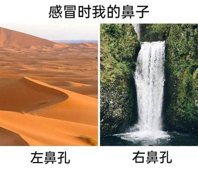 这是一张用来调侃感冒状态的左右对比梗图，顶部配有文字“感冒时我的鼻子”。左侧展示了一片干旱荒芜的沙漠，下方标注“左鼻孔”，生动类比感冒时左鼻孔完全堵塞、干燥不通气的状态；右侧展示了倾泻而下的瀑布，下方标注“右鼻孔”，夸张地表现此时右鼻孔鼻涕不停流淌、像瀑布一样的状态。图中用两种极端反差的自然景观，精准又搞笑地还原了感冒时两个鼻孔状态天差地别的真实体验，容易引发有过类似经历的人的共鸣。