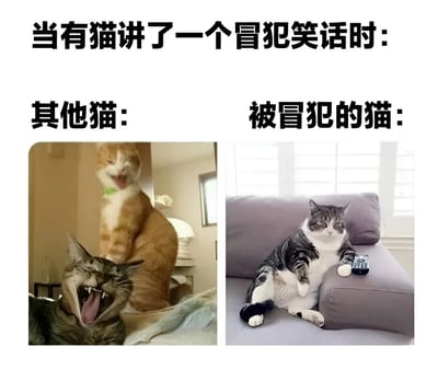 这是一张左右对比的搞笑梗图。上方文字为“当有猫讲了一个冒犯笑话时：”，左侧“其他猫：”配图是两只橘白相间的猫，一只站立张嘴大笑，另一只在下方仰头露齿狂笑，表情夸张；右侧“被冒犯的猫：”配图是一只灰白相间的猫，正襟危坐于紫色沙发上，前爪搭着遥控器，眼神犀利，表情严肃，形成鲜明对比，突出被冒犯者的不悦与旁观者的爆笑场景。
