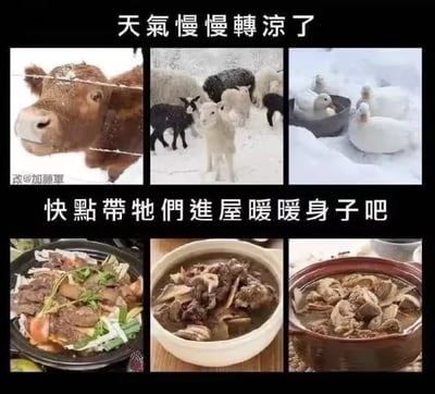 图片为2x3的多图拼接，上方三图展示了在雪地中的动物：左侧是一头牛，中间是一群羊，右侧是几只鸭子，背景均为白雪覆盖；下方三图则是热气腾腾的菜肴：左侧疑似牛肉火锅，中间为炖肉，右侧是砂锅炖菜。图片顶部文字为“天气慢慢转凉了”，底部文字为“快点带牠们进屋暖暖身子吧”。通过上下图对比形成幽默效果，表面呼吁带动物进屋取暖，实际暗示将这些动物做成菜肴食用，存在双关含义。
