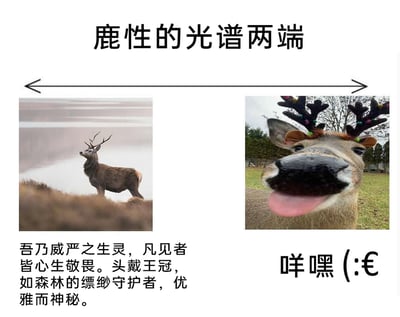 这是一张以“鹿性的光谱两端”为主题的反差类梗图，采用左右分栏的对比构图。左侧呈现的是一只伫立在雾气氤氲的高地之上的麋鹿，它身姿挺拔，鹿角如同天然王冠，神态沉稳威严，配文将其塑造为森林的缥缈守护者，强调其优雅神秘、令见者心生敬畏的气质；右侧则是一只戴着装饰性彩色鹿角的小鹿，它吐着舌头，表情搞怪滑稽，配文“咩嘿 (:€”用谐音和趣味符号强化了搞笑感。整张图通过同一物种的两种极端气质形象的强烈反差，制造出幽默诙谐的效果，生动展现了事物的多面性。