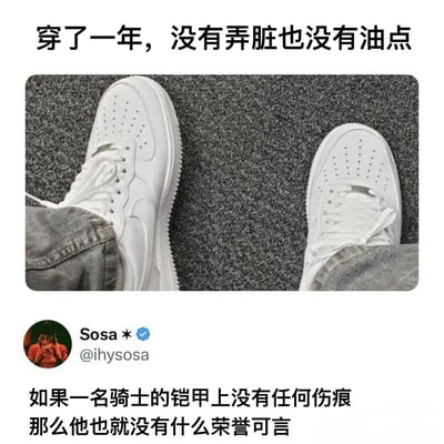 这是一张搞笑梗图，图片顶部配文“穿了一年，没有弄脏也没有油点”，中间展示了一双穿了一整年却依旧洁白干净、没有任何污渍油点的白色运动鞋，图片下方截取了社交账号Sosa（@ihysosa）的发言，内容为“如果一名骑士的铠甲上没有任何伤痕，那么他也就没有什么荣誉可言”，结合该比喻玩梗，调侃这双鞋常年保持干净，说明主人几乎很少穿着它出门，呼应标题“大概率没出过门”的笑点。