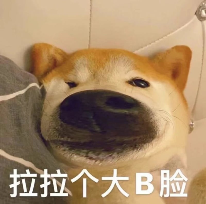狗
