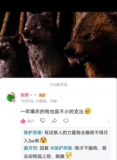 这是一张图文混排的截图内容，上方是《暮光之城》系列电影中的狼人族群画面，三只毛发浓密的狼人静止站立，面露凶狠神态，嘴巴张开露出锋利的獠牙，呈现出充满威慑力的姿态；下方是哔哩哔哩平台的评论区界面，显示共有174条评论，用户“张郎丶丶”的热评“一年爆衣的钱也是不小的支出”获得361个点赞，该评论结合狼人变身会撑破衣服的设定玩梗，此外还有两条趣味回复：用户“保护冽崽”调侃“有这狼人的力量我去搬砖不得月入3w啊”，用户“邀月饮”则回复称“我才不搬砖，我去动物园上班，躺赢”，整体内容以影视设定为基础，通过搞笑脑洞的评论制造趣味效果。