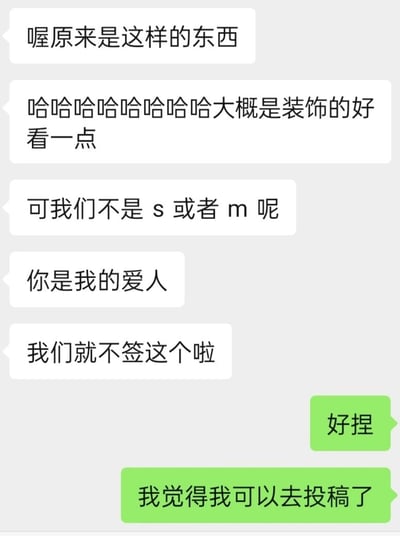这是一张聊天对话截图，包含关于某种物品的讨论，提到了装饰效果、S/M属性以及爱情关系。对话中一方表示不签某个东西，最后有人说"我觉得我可以去投稿了"。