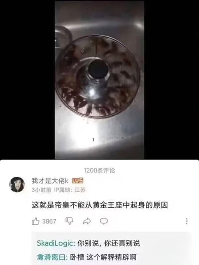 整张图为上下拼接的图文混排内容，上半部分是实拍的厨房场景图，银色台面上放置的透明玻璃锅盖内侧爬满了密集的蟑螂，视觉效果惊悚恶心，符合原发布者标注的「恐怖图片」的描述；下半部分是哔哩哔哩平台的评论区截图，显示共有1200条评论，IP属地为江苏的用户「我才是大佬k」发布评论称「这就是帝皇不能从黄金王座中起身的原因」，该评论获3867赞，下方还有两条用户回复分别表示该说法很贴切、解释很精辟，结合《战锤40K》的设定玩梗，将爬满蟑螂的锅盖类比为帝皇的黄金王座，制造出调侃帝皇无法起身是因为王座下全是蟑螂的笑点。