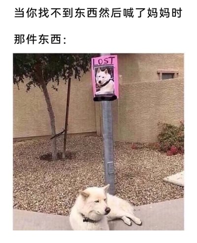 这是一张贴合生活场景的搞笑静态梗图，上方配有中文旁白文字“当你找不到东西然后喊了妈妈时 那件东西：”，下方的实拍场景中，一根金属杆上贴着一张粉色的“LOST（失踪）”寻狗启事，启事上的狗狗照片与趴在杆正下方地面上的白色狗狗完全一致。这张图用这种“失踪的狗狗就在寻狗启事下方”的反差感，调侃了生活中常见的现象：自己苦苦寻找的东西明明就在显眼的位置，自己却视而不见，一旦喊妈妈帮忙寻找，往往很快就能发现，生动形象地表现出这种“当局者迷”的状态，充满生活趣味，容易引发网友共鸣。
