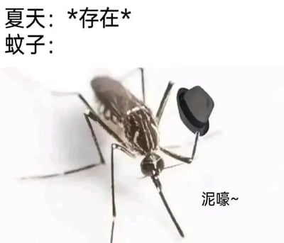 图片上方有文字“夏天：*存在* 蚊子：”，中间是一只蚊子的特写，蚊子被P上了一顶黑色礼帽，右下角配有蚊子的对白“泥嚎~”。整体通过给蚊子添加拟人化的礼帽和打招呼的文字，幽默地表现了夏天蚊子无处不在的特点，营造出轻松搞笑的氛围。