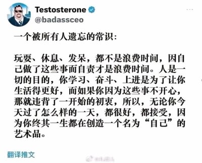 这是一张X（原推特）平台的推文中文翻译截图，左上角显示发布账号信息，账号名称为Testosterone，账号ID为@badassceo，带有蓝色认证标识，头像是一位戴墨镜的卡通胖男性；正文内容是一段生活感悟，提出一个被很多人遗忘的常识：玩耍、休息、发呆都不是浪费时间，因做了这些事而自责才是浪费时间；人本身就是所有行为的最终目的，学习奋斗都是为了让自己生活得更好，如果因为这些事变得不开心，就违背了最初的初衷；因此无论当天过得如何，都应该接纳自己，因为人终其一生都是在创造名为“自己”的艺术品；图片左下角标注有“翻译推文”字样，右下角带有模糊水印。