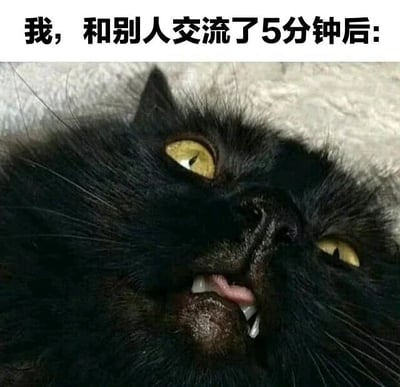 图片上方配有文字“我，和别人交流了5分钟后:”，下方是一张黑猫的特写照片。黑猫有着黄色的眼睛，仰头张嘴，表情看起来疲惫又无奈，幽默地表现了人们在短暂社交后感到精力耗尽的状态。