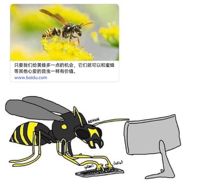 这是一张上下拼接的对比式图文内容，上方为一张真实的黄蜂停留在黄色花朵上的实拍照片，配有文字“只要我们给黄蜂多一点的机会，它们就可以和蜜蜂等其他心爱的昆虫一样有价值”，传递出为黄蜂正名、认可其价值的观点；下方是一幅拟人化的卡通漫画，将黄蜂刻画成一位烦躁的职场打工人，它趴在电脑键盘前打字，触角旁标注着烦躁的拟声词“AEUGH”，键盘处有打字的“clic clic”拟声词，用荒诞搞笑的拟人手法呼应上方的配文，将“给黄蜂机会赋予价值”调侃成让黄蜂像人类一样从事枯燥的办公工作，用职场打工人的状态来玩梗，制造出反差感与搞笑效果。