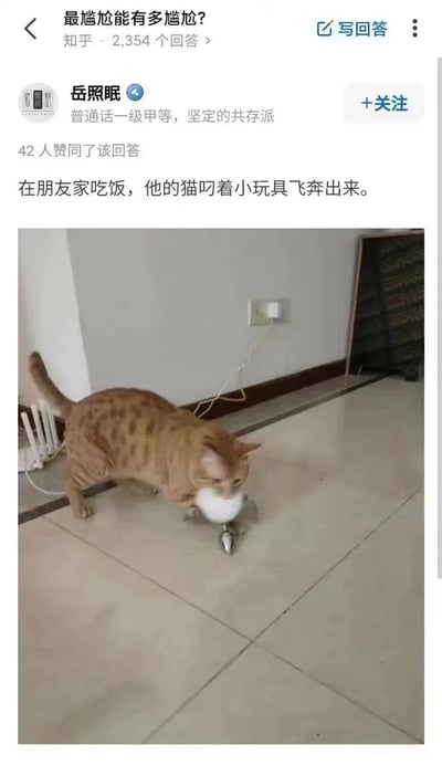 知乎问答截图，问题为“最尴尬能有多尴尬？”，用户岳照眠的回答描述在朋友家吃饭时，朋友的猫叼着小玩具飞奔而出的场景。配图为一只橘猫在瓷砖地面上，嘴里叼着白色小玩具，背景有电源插座和深色物体。