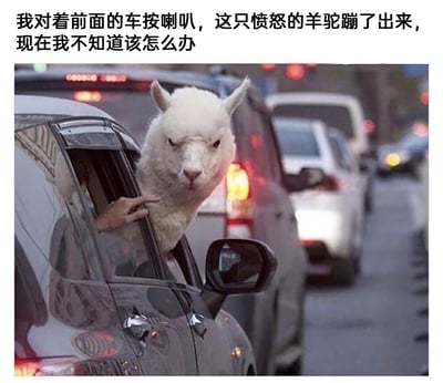 这是一张在城市拥堵道路上拍摄的静态图，画面主体是一辆灰色轿车，车窗处探出一只表情愤怒、眼神凶狠的白色羊驼，车内有一只手抓着羊驼的脖颈部位，似乎在控制它。背景是排成长队的车流，清晰呈现出堵车的路况。图片上方配有文字“我对着前面的车按喇叭，这只愤怒的羊驼蹦了出来，现在我不知道该怎么办”，用拟人的手法将羊驼塑造成“出面对峙”的角色，制造出荒诞又搞笑的场景，调侃了堵车时的小插曲。