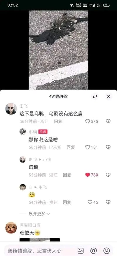 图片展示了一只被压扁在柏油马路上的黑色鸟类，下方是社交媒体的评论区。用户"由飞"评论道："这不是乌鸦，乌鸦没有这么扁"，作者"小璃"反问"那你说这是啥"，"由飞"回答"扁鹊"，利用了"扁"字的双关含义制造幽默效果。另有用户评论"难他天😂"。