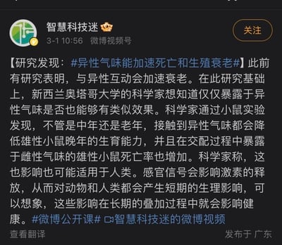这是微博平台科普账号「智慧科技迷」发布的一则科研科普内容，围绕新西兰奥塔哥大学的小鼠实验展开：实验显示，无论中年还是老年雄性小鼠，接触异性气味都会降低其晚年生育能力，且交配时暴露于雌性气味的雄性小鼠死亡率也会上升。科学家推测该影响可能同样适用于人类，因为感官信号会影响激素释放，产生短期生理影响，长期叠加后会对健康造成影响。内容附带相关话题标签，关联「微博公开课」科普活动，发布时间为3月1日10:56，发布地点显示为广东。