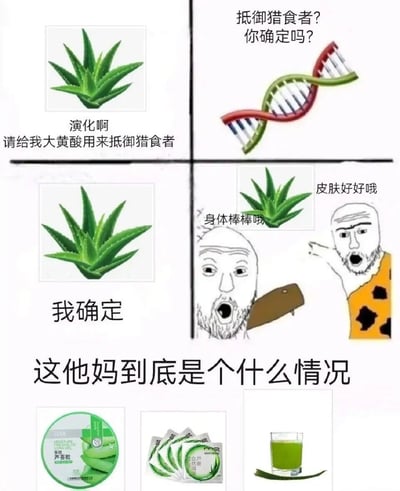 这是一张荒诞搞笑的图文梗图，通过分区域的内容展现芦荟的“演化乌龙”：左上区域芦荟向演化机制请求生成大黄酸来抵御猎食者；右上区域的DNA图案发出质疑“抵御猎食者？你确定吗？”；左下区域芦荟给出肯定答复“我确定”；右下区域是两个卡通原始人，一个被棍子击打颈部，喊着“身体棒棒哦”，另一个手指芦荟喊“皮肤好好哦”；最下方是芦荟的吐槽“这他妈到底是个什么情况”，还展示了芦荟胶、芦荟饮品等人类使用芦荟的产品。整图用反差感制造笑点：芦荟演化出防御物质的初衷是抵御猎食者，结果人类却将它作为护肤、养生的材料，完全偏离了芦荟的演化预期，形成荒诞的喜剧效果。