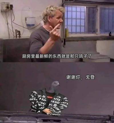 这是一张由上下两部分拼接而成的搞笑梗图，上图截取了美国真人秀《地狱厨房》中名厨戈登·拉姆齐的经典吐槽画面，他面露嫌弃，伸出手指指责，配文“厨房里最新鲜的东西就是那只鸽子了”，以此吐槽餐厅厨房的食材极度不新鲜，连闯入厨房的鸽子都比食材更新鲜；下图则是网友通过P图创作的拟人化鸽子，它穿着印满字母的潮牌外套，配文“谢谢你，戈登”，将戈登的吐槽转化为对自己的“认可”，通过这种荒诞的反差感制造出强烈的搞笑效果，调侃了餐厅糟糕的食材管理状况。