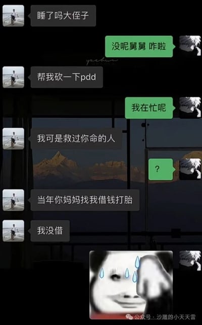 这是一张搞笑的聊天记录截图，展示了舅舅和侄子之间的对话。舅舅想让侄子帮忙砍拼多多，侄子表示在忙，舅舅便声称自己是"救过侄子命的人"。当侄子表示疑惑时，舅舅语出惊人地说："当年你妈妈找我借钱打胎，我没借"。对话最后以一个流汗黄豆表情包结束，充满了黑色幽默和反转效果。