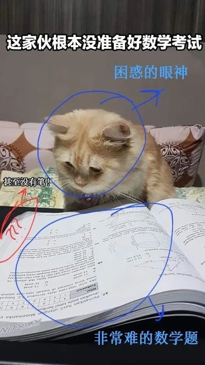图片中一只橘猫趴在一本打开的数学课本前，眼神困惑地盯着书本上的难题。图片上方配有文字'这家伙根本没准备好数学考试'，并用蓝色箭头标注'困惑的眼神'指向猫咪的脸，红色箭头标注'甚至没有笔!'指向旁边的空白处，底部文字'非常难的数学题'指向课本内容。整体通过猫咪的无奈表情和场景细节，幽默地表现了面对数学考试毫无准备的窘境。