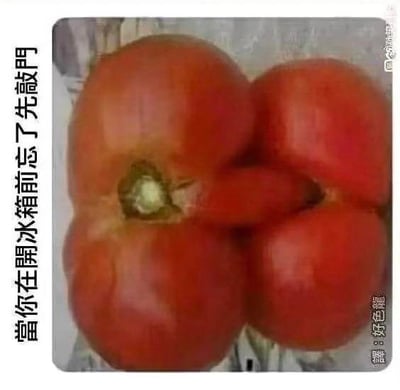 一张红色番茄的照片，番茄形状不规则，呈现多瓣状，酷似臀部。图片左侧有竖排文字：“當你在開冰箱前忘了先敲門”（当你在开冰箱前忘了先敲门），右侧有竖排文字：“好色色”（好色情）。通过番茄的拟人化形状和文字结合，营造出一种因没敲门而撞见尴尬场景的幽默效果，带有调侃和轻微的色情暗示。