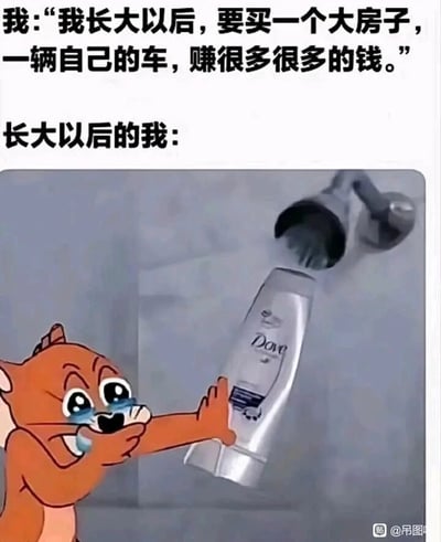 这张图是一张反差感拉满的搞笑梗图，采用上下对比的图文混排形式。上方文字是“小时候的我”的梦想：“我长大以后，要买一个大房子，一辆自己的车，赚很多很多的钱。”，充满了对未来的憧憬与宏大的期许；下方则是“长大以后的我”的现实场景：《猫和老鼠》中的橘色小老鼠泪流满面，表情崩溃，一只手捂着嘴哭泣，另一只手紧紧抓住被淋浴头冲刷的多芬沐浴露，仿佛在为这点小事而崩溃。整张图通过小时候的宏大理想与长大后连日常小事都能让人崩溃的现实形成强烈反差，精准戳中了当代成年人的无奈——曾经的远大梦想被现实磨平，生活的压力让人们为琐碎的小事就情绪崩溃，用夸张搞笑的方式表达了理想与现实的落差感，引发共鸣。