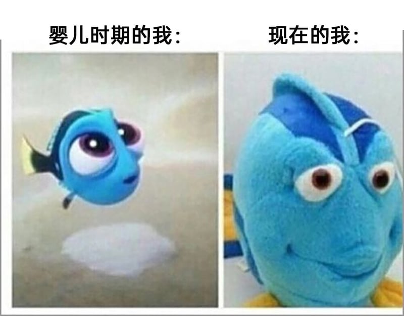 海底总动员