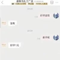 这是一段竖屏手机格式的聊天记录截图，内容是消费者与商家客服的对话：消费者先询问“好评返现”，客服回复“没有”，消费者接着问“差评呢”，客服却回复“好评1元”。这段对话回避了差评的问题，只强调好评的小额奖励，讽刺了商家为了获取好评而设置的返现套路，充满了无奈的幽默感。