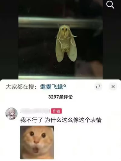 该图片由耄耋飞蛾的实拍照和著名网络表情包仓鼠的神似表情组成，通过网友评论表达对两者神似的感叹，常在网络上用于表现惊讶、搞笑等情绪。