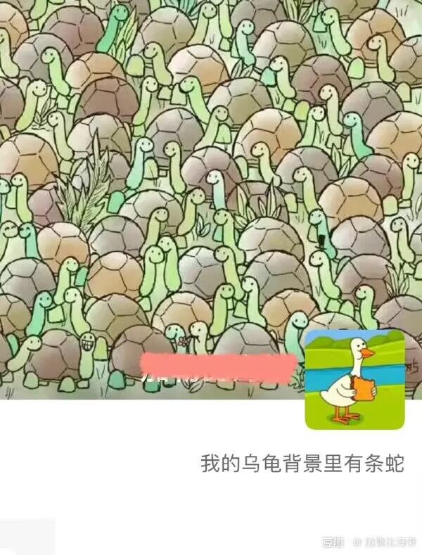 卡通乌龟