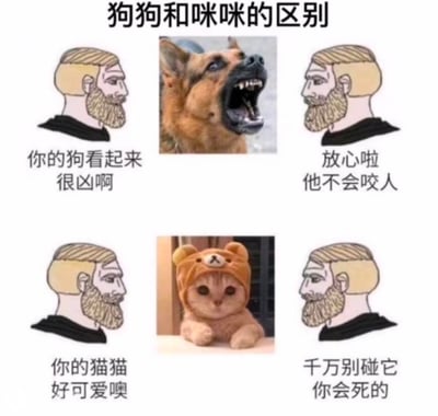一张通过上下两排三列结构对比狗狗与猫咪反差萌的幽默梗图。上排左侧卡通络腮胡男子说“你的狗看起来很凶啊”，中间是张嘴露齿的凶猛德国牧羊犬实拍图，右侧男子回应“放心啦他不会咬人”；下排左侧男子感叹“你的猫猫好可爱噢”，中间是戴小熊帽子的萌猫实拍图，右侧男子警告“千万别碰它你会死的”。通过这种“外表与实际性格反差”的对比，调侃宠物界常见的“狗狗外凶内柔，猫咪外萌内刚”现象。