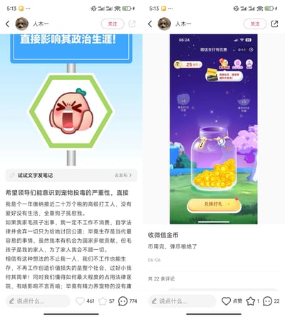 图片为社交媒体用户'人木一'的两条帖子截图。左侧帖子上方有蓝色横幅写着'直接影响其政治生涯！'，下方是一个绿色边框的六边形标志，内有一个哭泣的桃子表情包。帖子正文表达了对宠物投毒问题的强烈关注，称自己是年缴近二十万个税的高级打工人，生活全靠宠物狗慰藉，若宠物出事将停止工作消费、自学法律讨回公道，并认为类似想法的人不在少数，停止创造价值损失的是整个社会。右侧帖子显示微信支付优惠界面，有一个装满金币的玻璃罐插图，配文'收微信金币 币用完，弹尽粮绝了'，发布时间为06-06，获1赞22条评论。