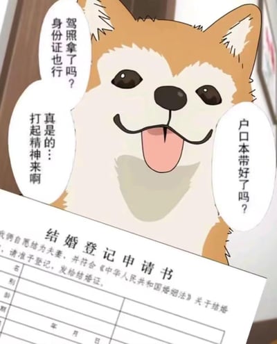 这是经典表情包Doge的二次创作作品，画面里卡通化的Doge吐着舌头，神态热情，周围的对话气泡里是结婚登记时工作人员常询问的内容：「驾照拿了吗？身份证也行」「户口本带好了吗？」「真是的…打起精神来啊」，下方则是《结婚登记申请书》，将可爱的狗狗形象与严肃的结婚登记场景结合，形成强烈反差，用搞笑的方式还原了登记时准备证件的环节，没有双关或谐音梗。