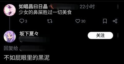 这是一张社交媒体平台的评论互动截图，上方用户「如唱昌曰日晶」发布了一条低俗猎奇的言论：「少女的鼻屎胜过一切美食」，该内容获得了30个点赞与3条评论；下方用户「坂下夏々」针对这条言论进行回复，用更重口味的内容「不如屁眼里的黑泥」进行调侃，双方的互动充满恶趣味，言论均十分低俗猎奇，属于小众亚文化圈子里的恶趣味互动内容。